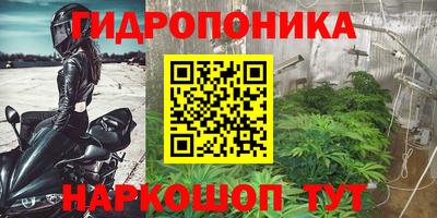 альфа пвп Славгород