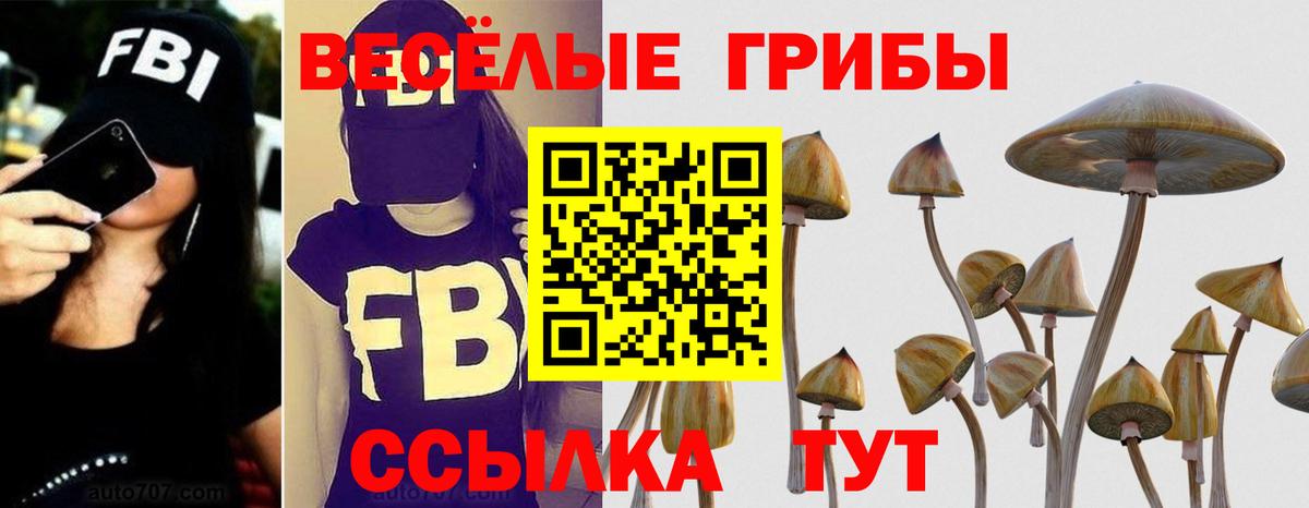 где купить   Псилоцибиновые грибы Magic Shrooms  Нальчик  Вход с VPN  Галлюциногенные грибы MAGIC MUSHROOMS 